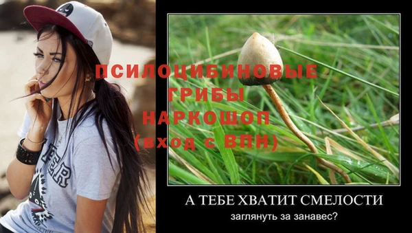 ПСИЛОЦИБИНОВЫЕ ГРИБЫ Медвежьегорск